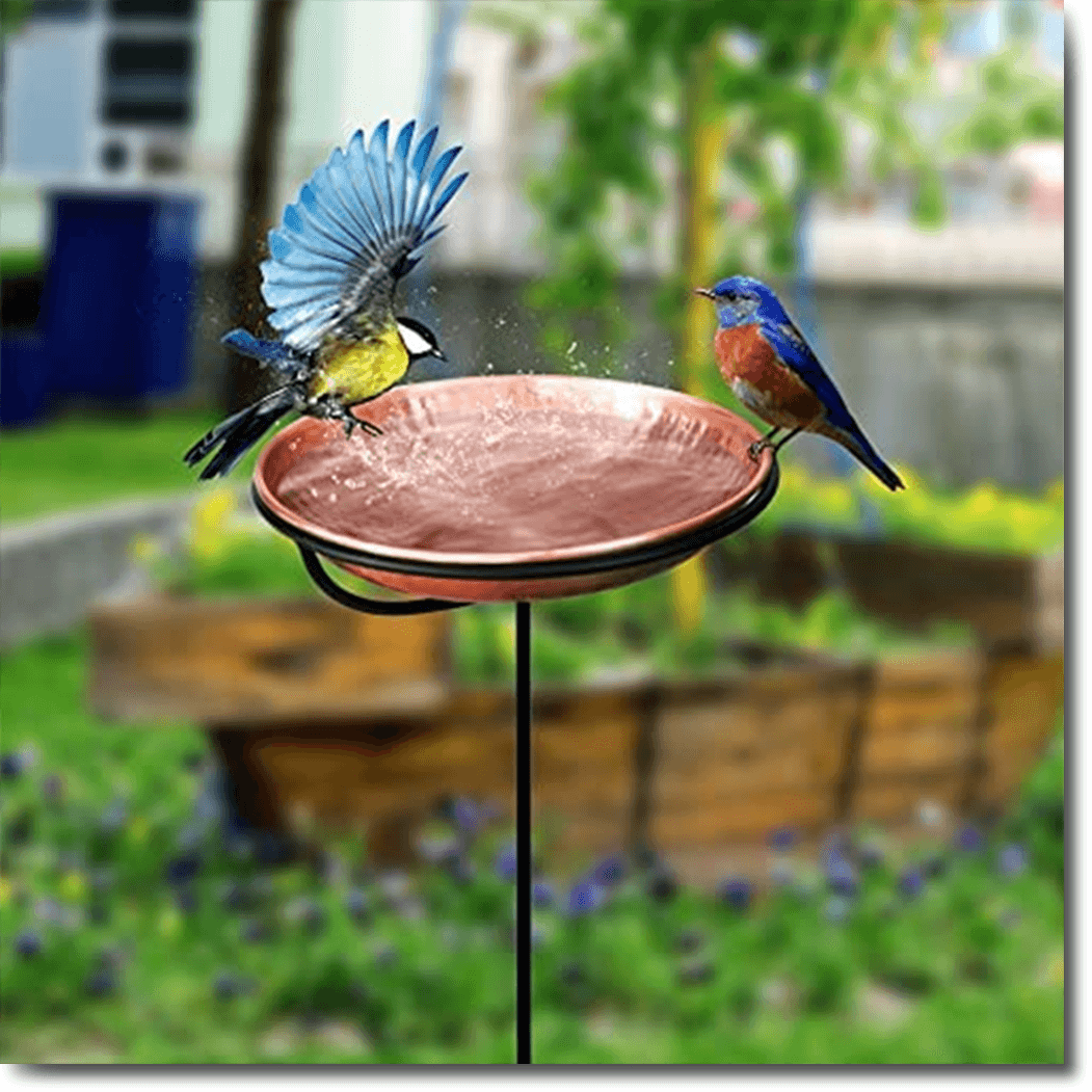 Bird Baths